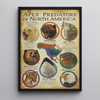 Maxcorners Animals USA Hunting Framed Canvas5 LM2611